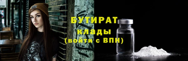 шишки Беломорск