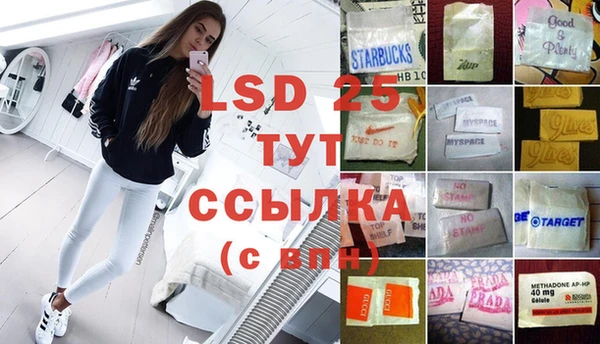 шишки Беломорск