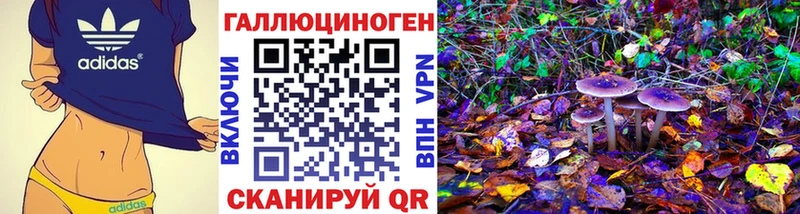 hydra зеркало  купить наркотики цена  Верхний Уфалей  Псилоцибиновые грибы мицелий 